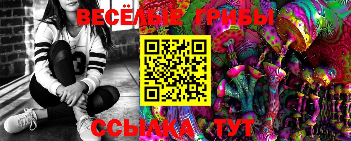 Корсаков  Галлюциногенные грибы Magic Shrooms  Вход с VPN 