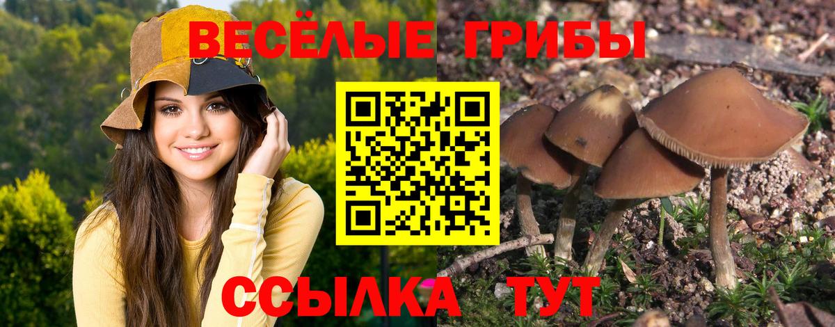 Галлюциногенные грибы ЛСД Корсаков
